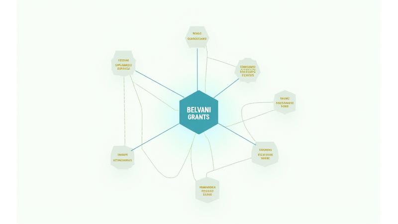 Illustration of a complex, well-organized network map with a central hub representing Belvani Grants, and spokes connecting to various labeled nodes representing different government agencies (e.g., Innovation, Science and Economic Development Canada, Ontario Trillium Foundation, NRC IRAP).